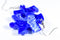 Earrings Vortex Puzzle Piece Pair (Blue) [20]