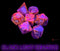 Preorder | Borealis Cosmos/gold Polyhedral 7-Dice Set (with bonus die)