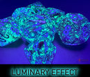 [preorder] Nebula Mega-hedral Nocturnal/blue Luminary 7-Die Set