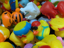 Mystery Duck Surprise – Random Rubber Duck for Jeep Ducking, Gifts, and Giggles (2" Floater)