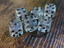 The Time Walker | Clear Glitter 16mm d6 Dice w/Black