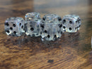 The Time Walker | Clear Glitter 16mm d6 Dice w/Black