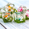 Flower on Grass Dice 7-Dice Set | White Numbers Dnd Resin Set