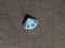 Opaque d16 White/black Sixteen Sided Dice DnD Rpg Dice (sold per die) XQ1601