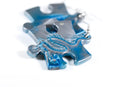 Earrings Gemini Puzzle Piece Pair (Teal/Grey) [21]