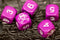 Purple Pirate D6 Dice Numbered with Skull and Cross Bones (sold per die)